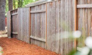 Wooden fence along a property line showing why homeowners may need a boundary survey to resolve disputes