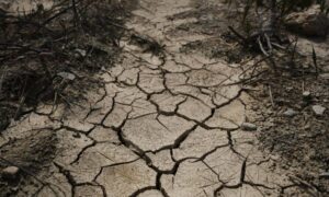 Cracked dry soil showing how drought can mislead perc test results