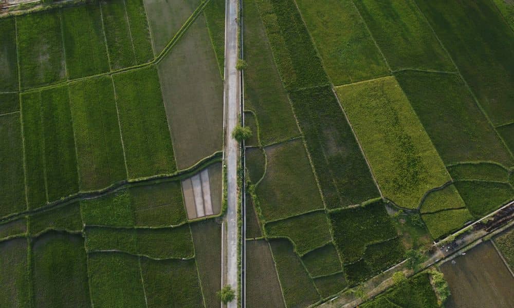 Aerial drone surveys view of rural farmland showing natural property lines and parcel boundaries