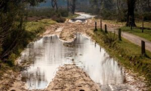Muddy road with standing water after flooding showing ground changes and need for a topographic survey